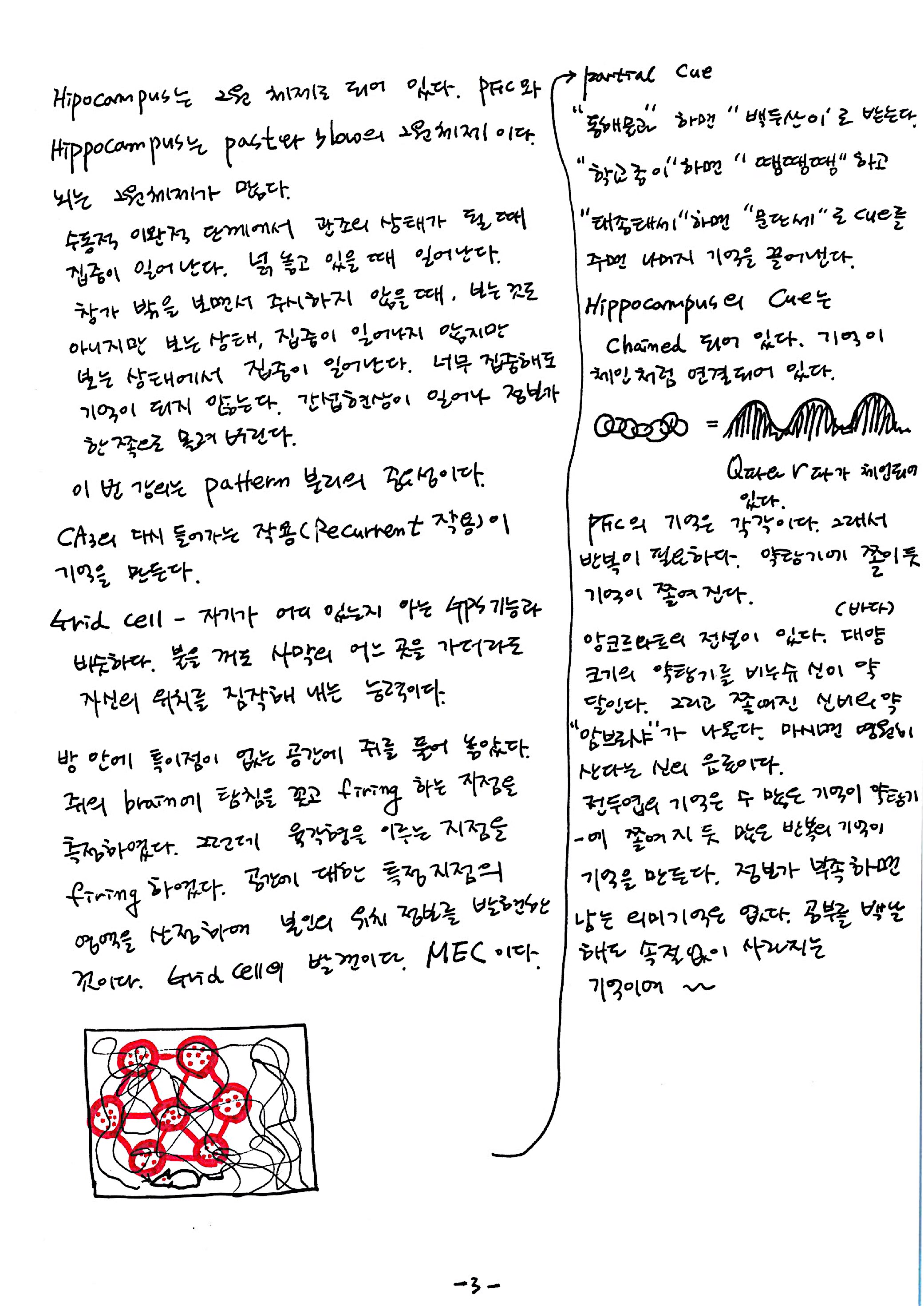 제 7회 특별한 뇌과학 5강 hippocampus2 3.jpg