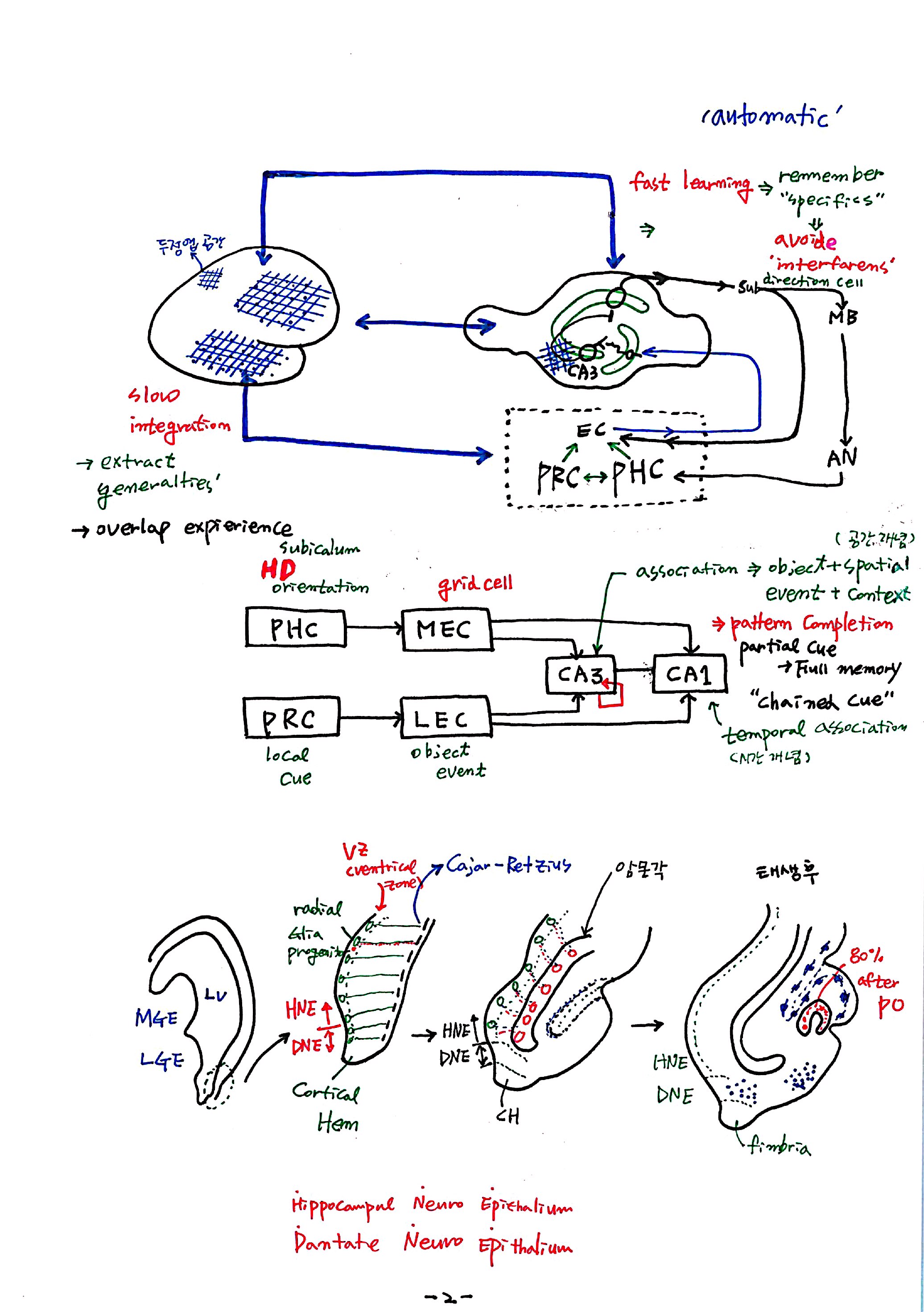 제 7회 특별한 뇌과학 5강 hippocampus2 2.jpg