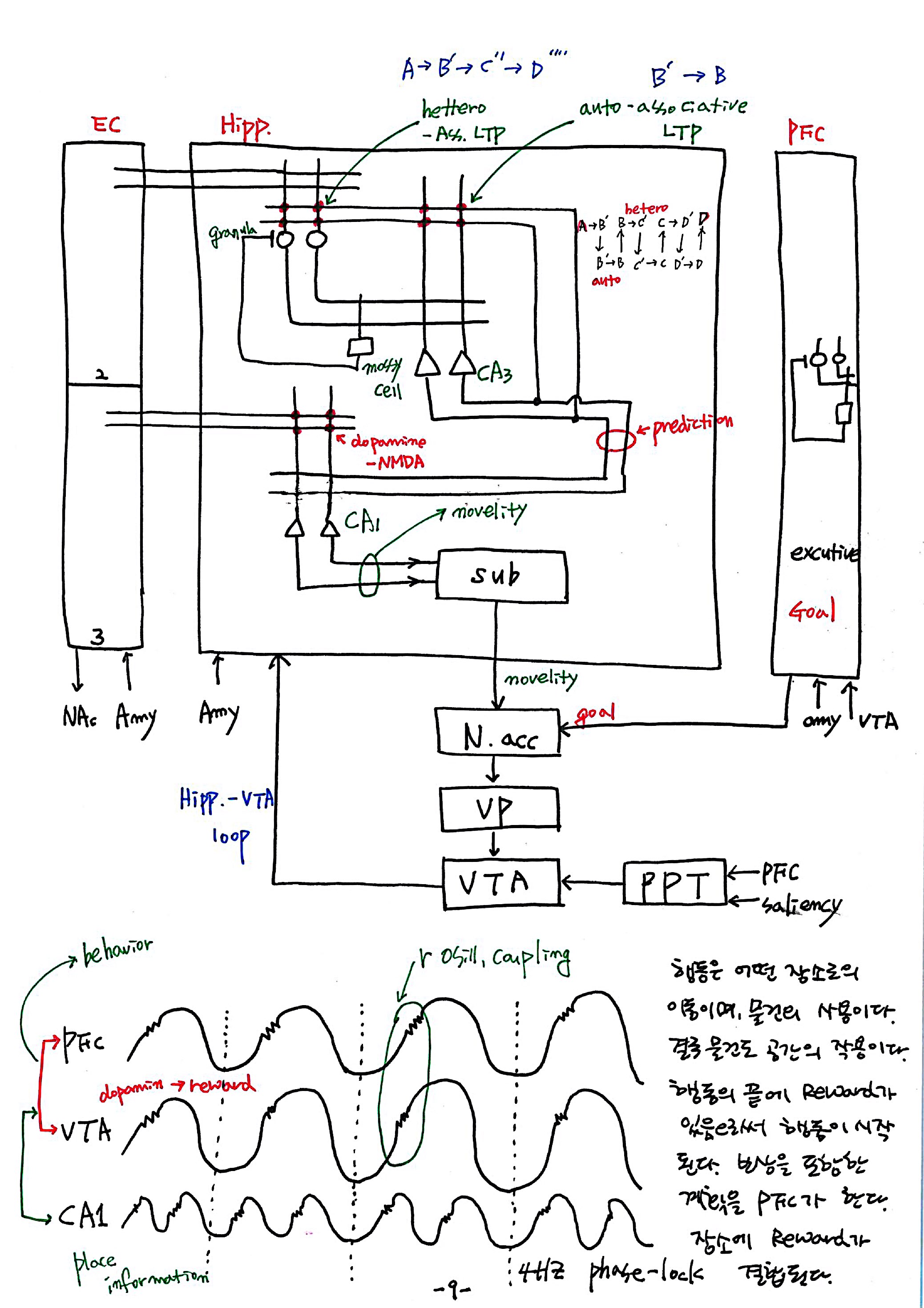 제 7회 특별한 뇌과학 5강 hippocampus2 9.jpg