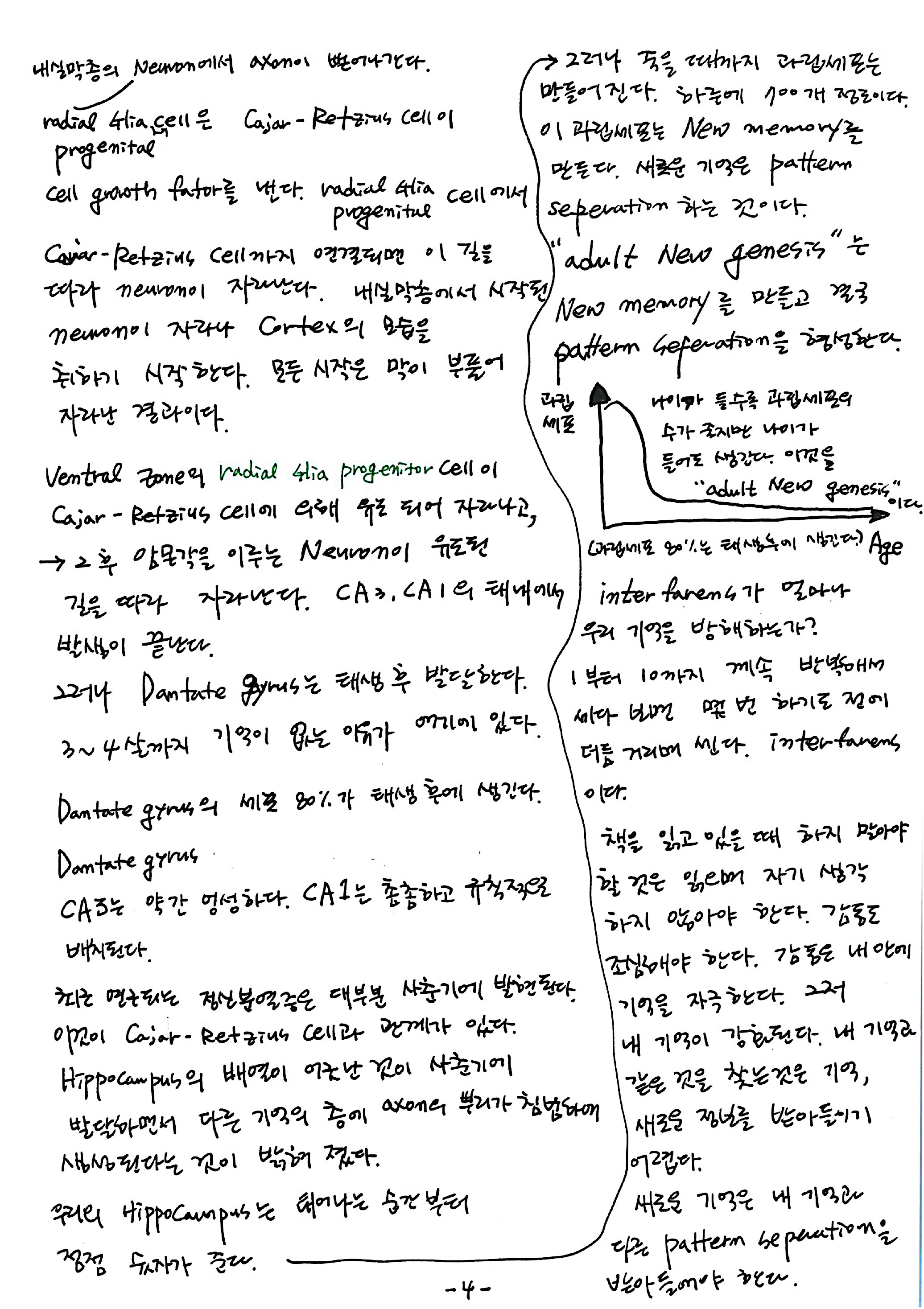 제 7회 특별한 뇌과학 5강 hippocampus2 4.jpg