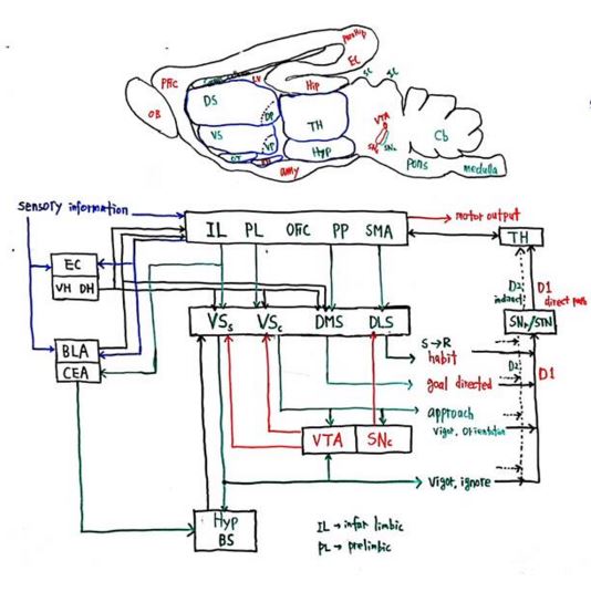 Sensory Information4.JPG
