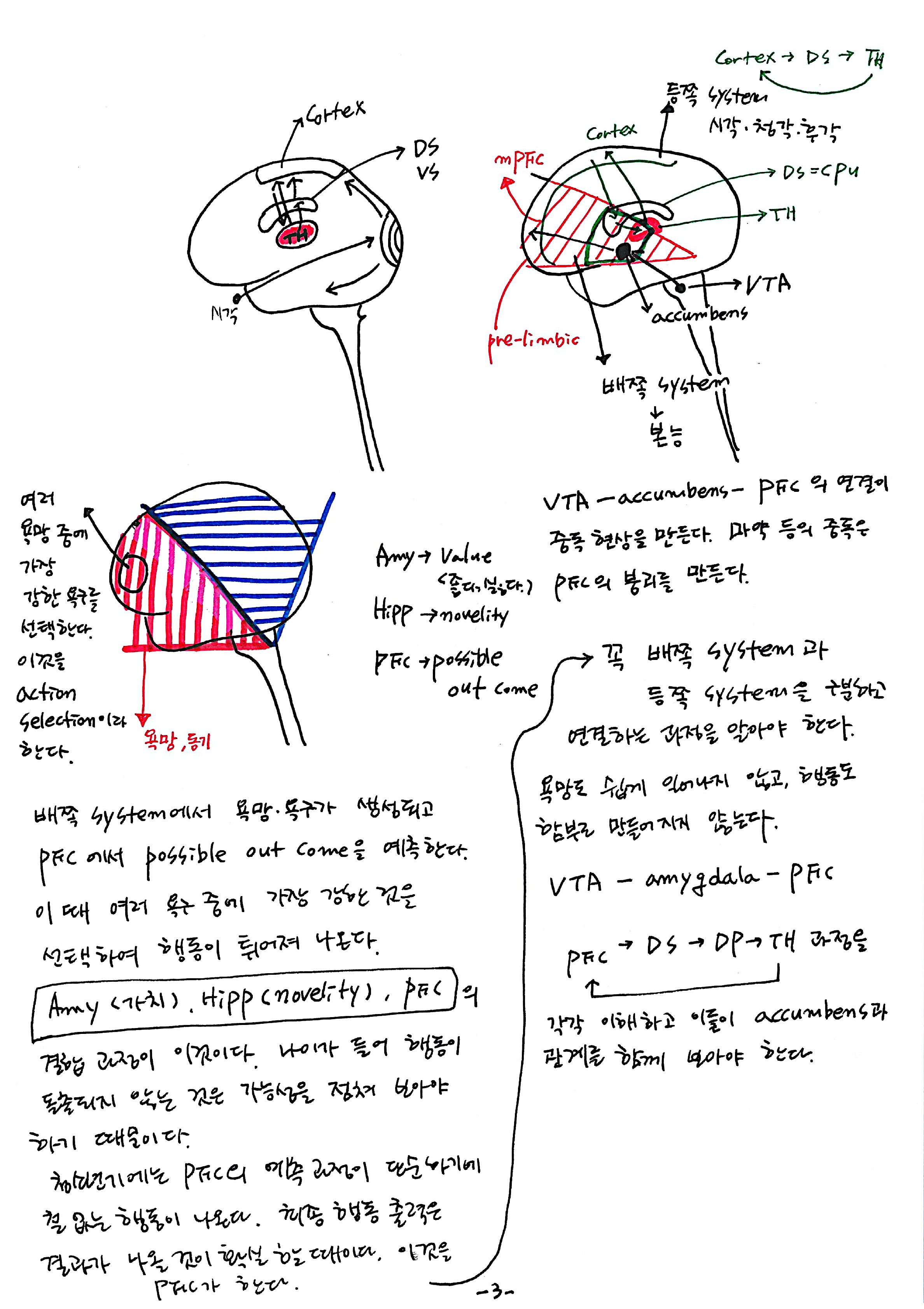 노트 제 7회 특별한 뇌과학 7강 시상하부, 식욕 3.jpg