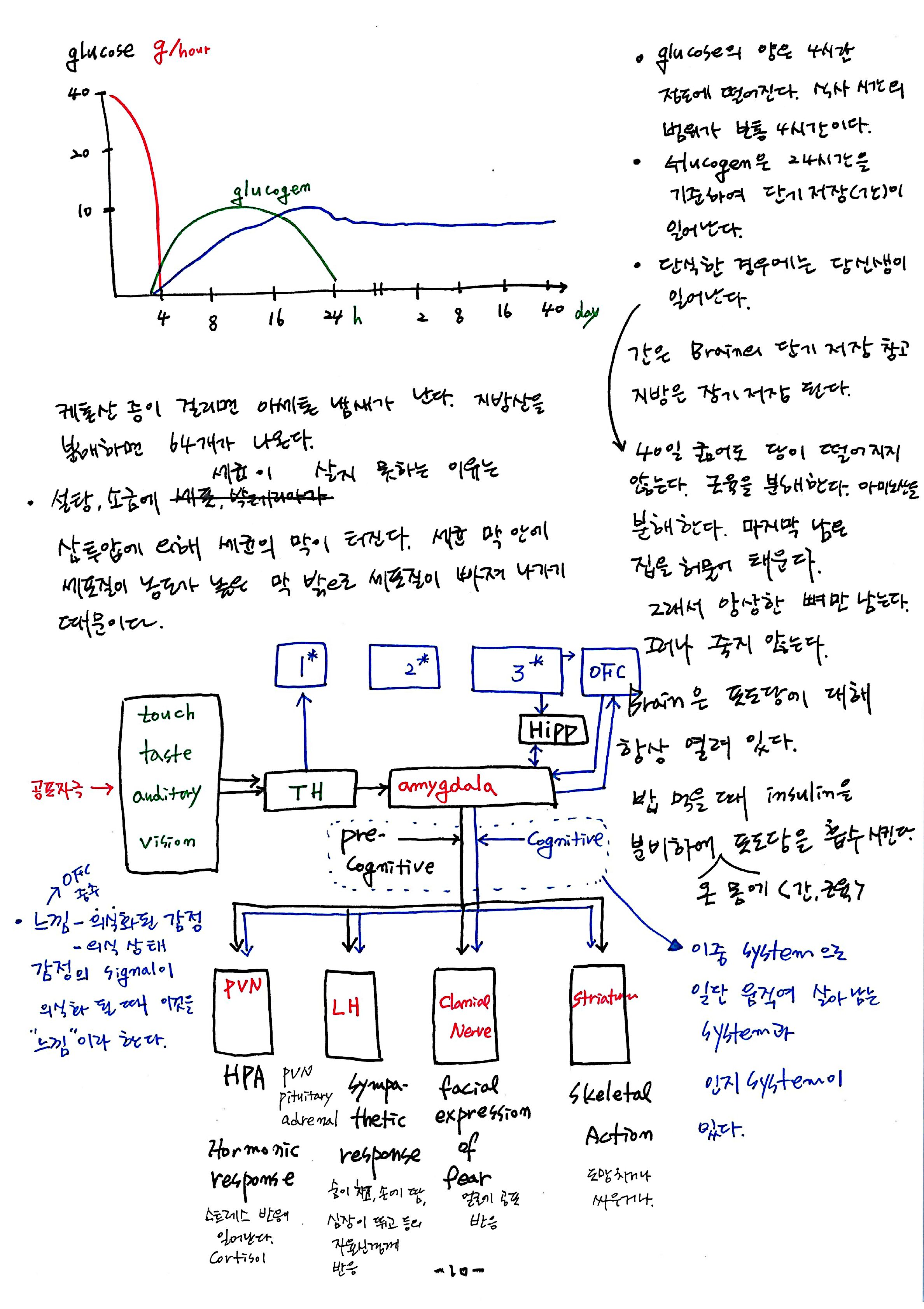 노트 제 7회 특별한 뇌과학 7강 시상하부, 식욕 10.jpg