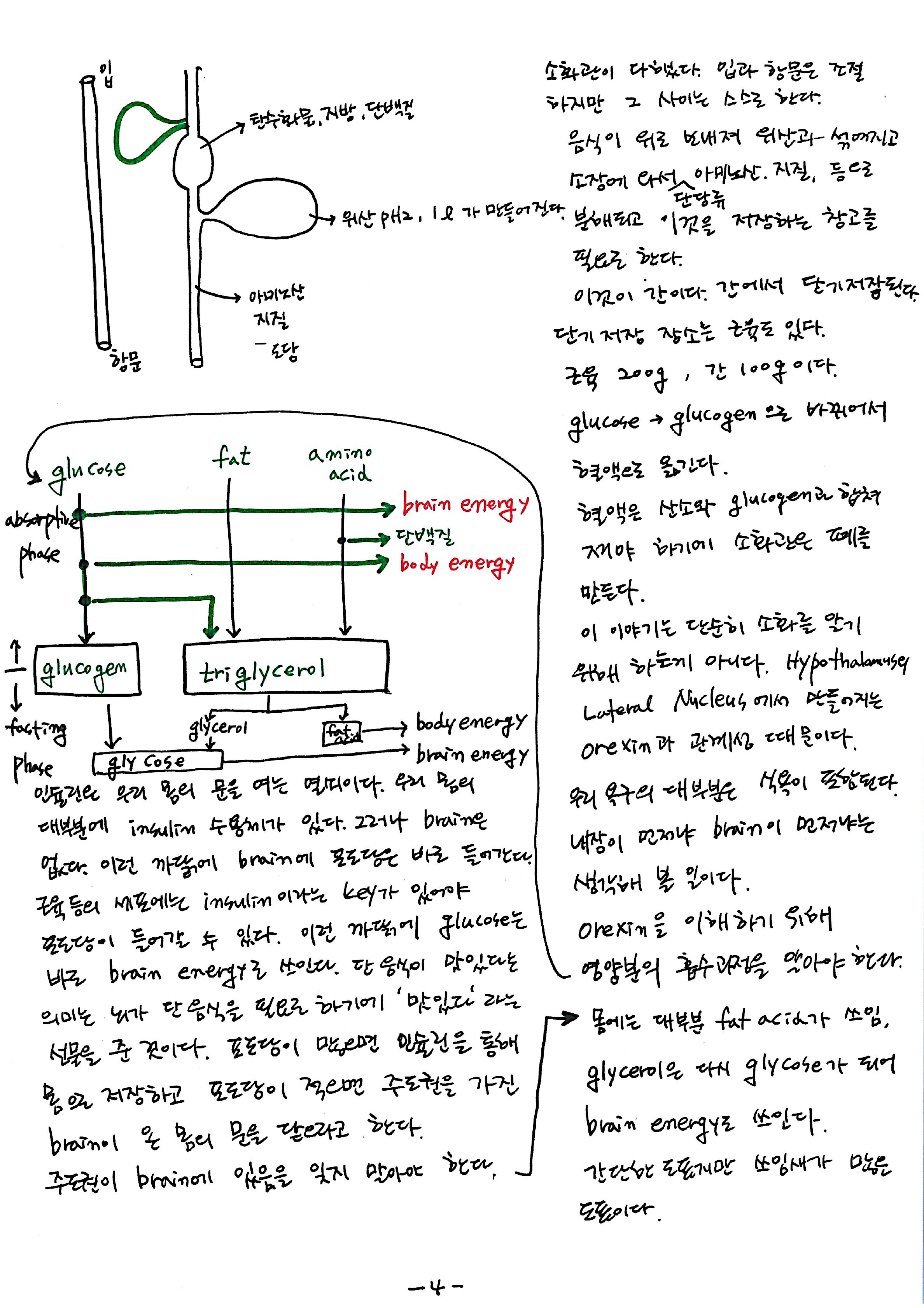 노트 제 7회 특별한 뇌과학 7강 시상하부, 식욕 4.jpg