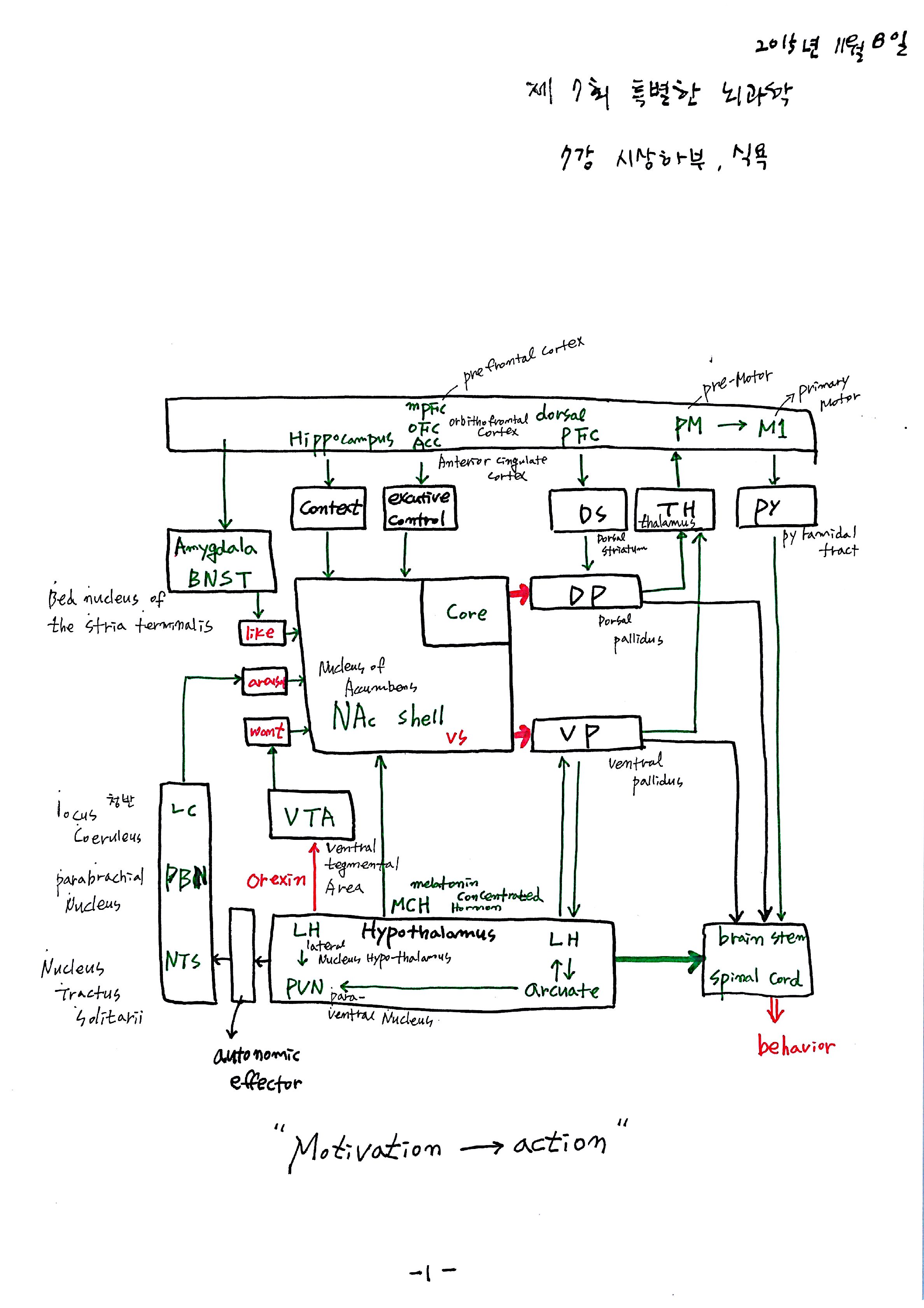 노트 제 7회 특별한 뇌과학 7강 시상하부, 식욕 1.jpg
