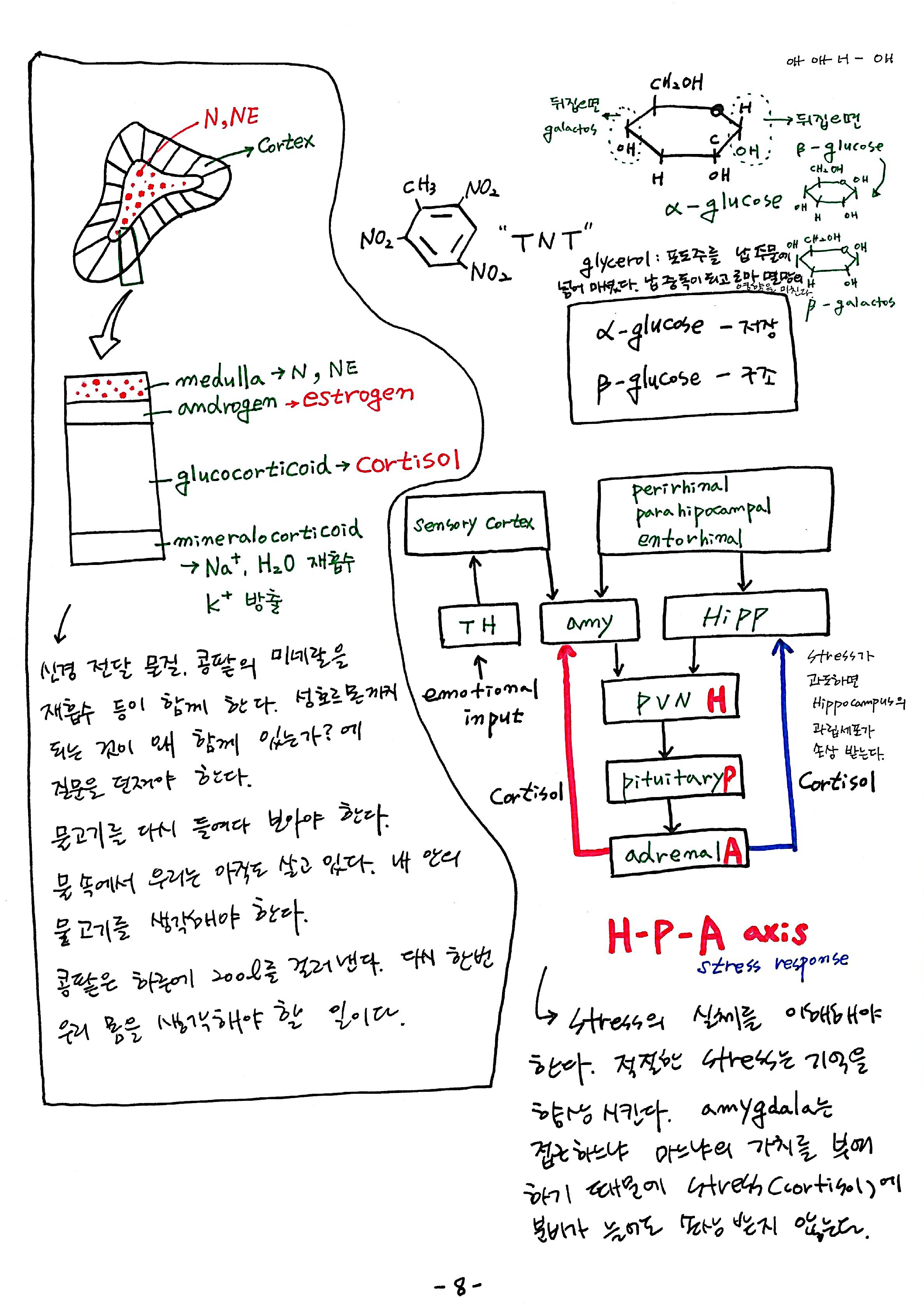 노트 제 7회 특별한 뇌과학 7강 시상하부, 식욕 8.jpg