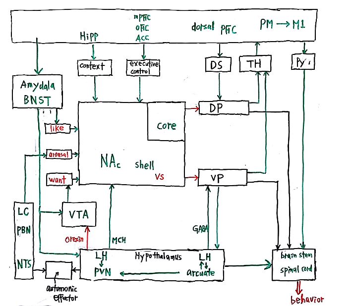 motivation to action.JPG