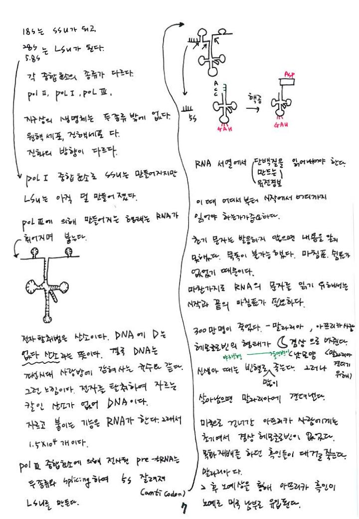 제8회 137억년 우주진화 7강 DNA. RNA_7_제8회 137억년.jpg