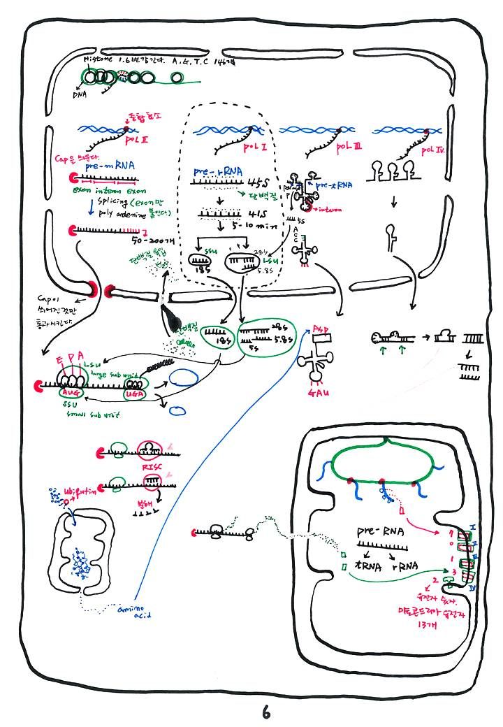 제8회 137억년 우주진화 7강 DNA. RNA_6.jpg