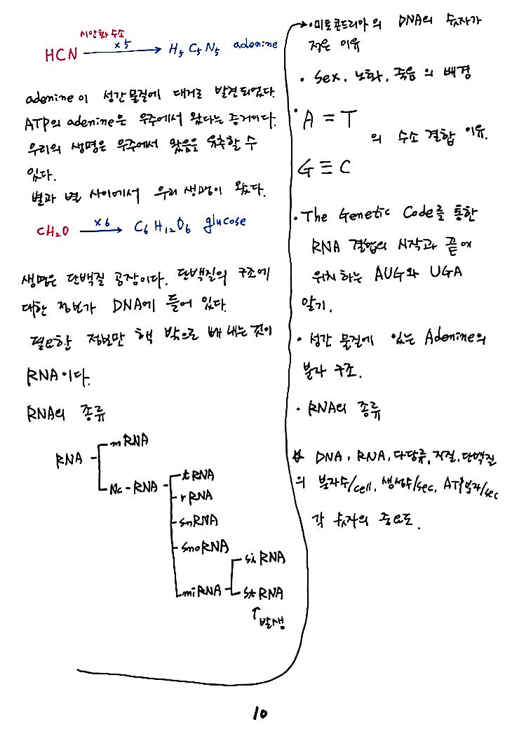 제8회 137억년 우주진화 7강 DNA. RNA_10.jpg