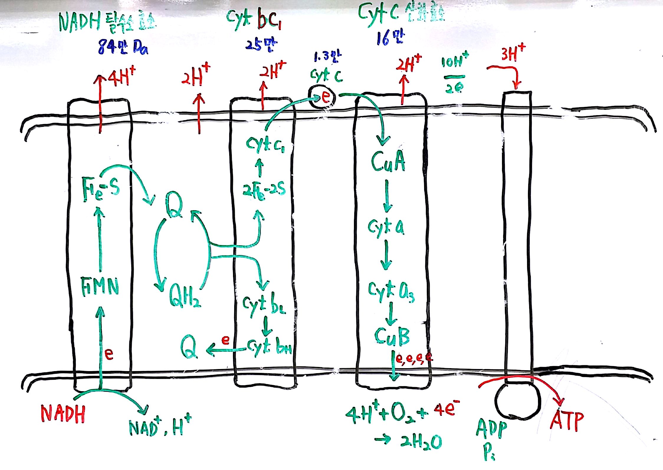 20160703 137억년  9강_3.jpg