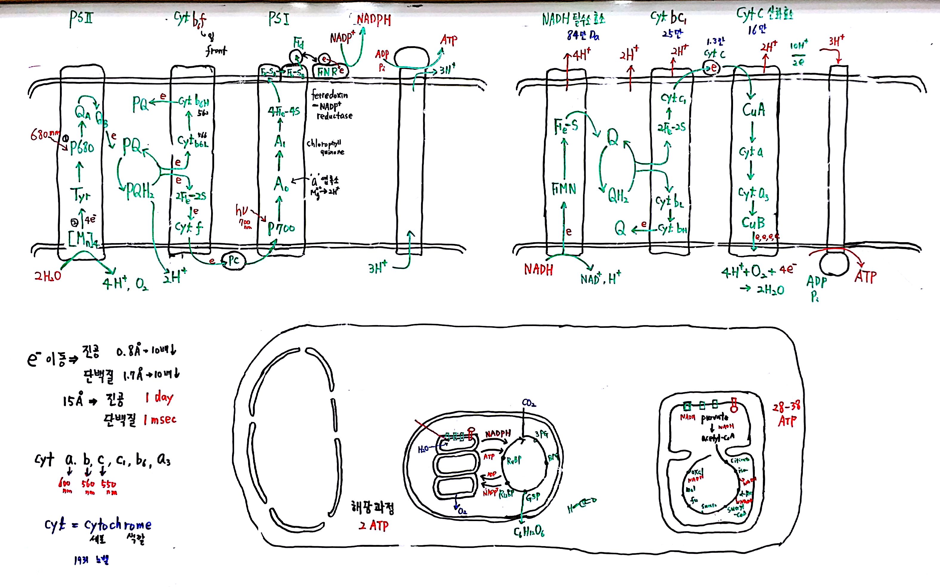 20160703 137억년  9강_1.jpg
