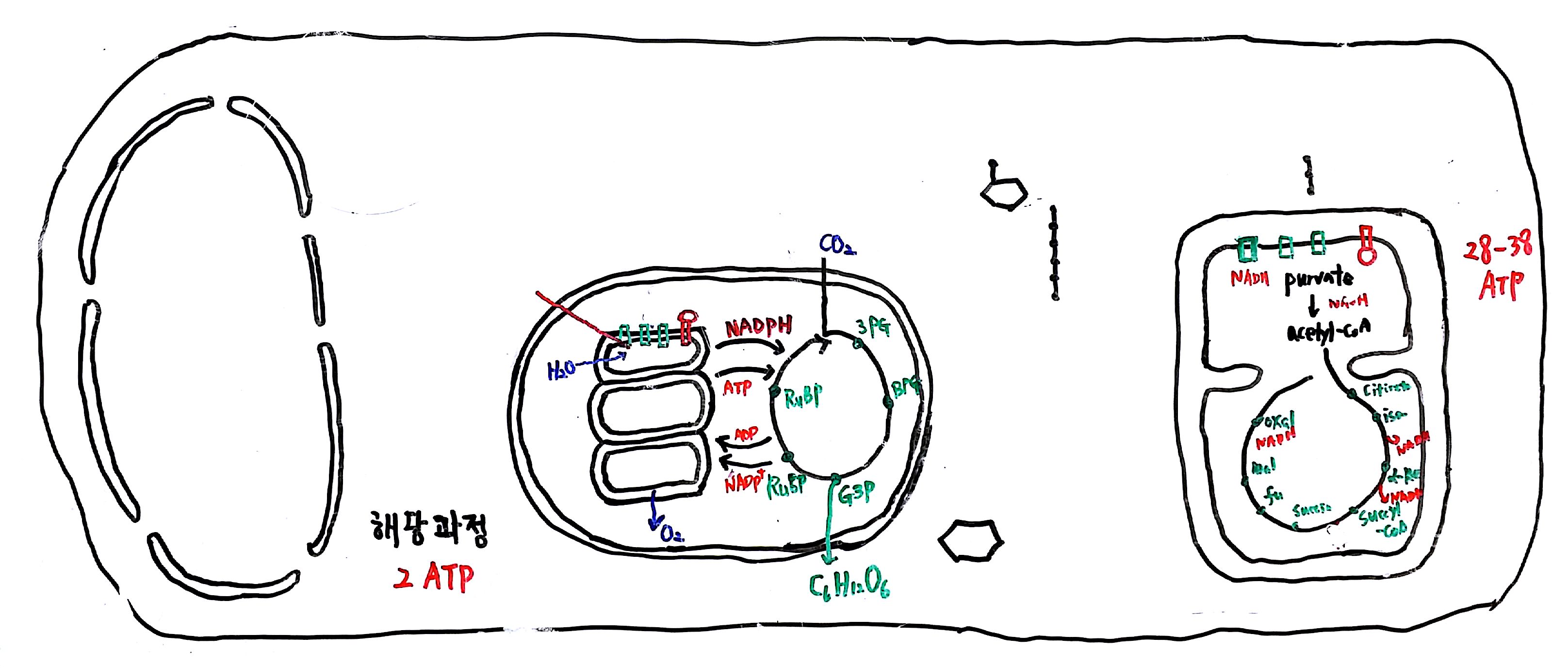 20160703 137억년  9강_7.jpg