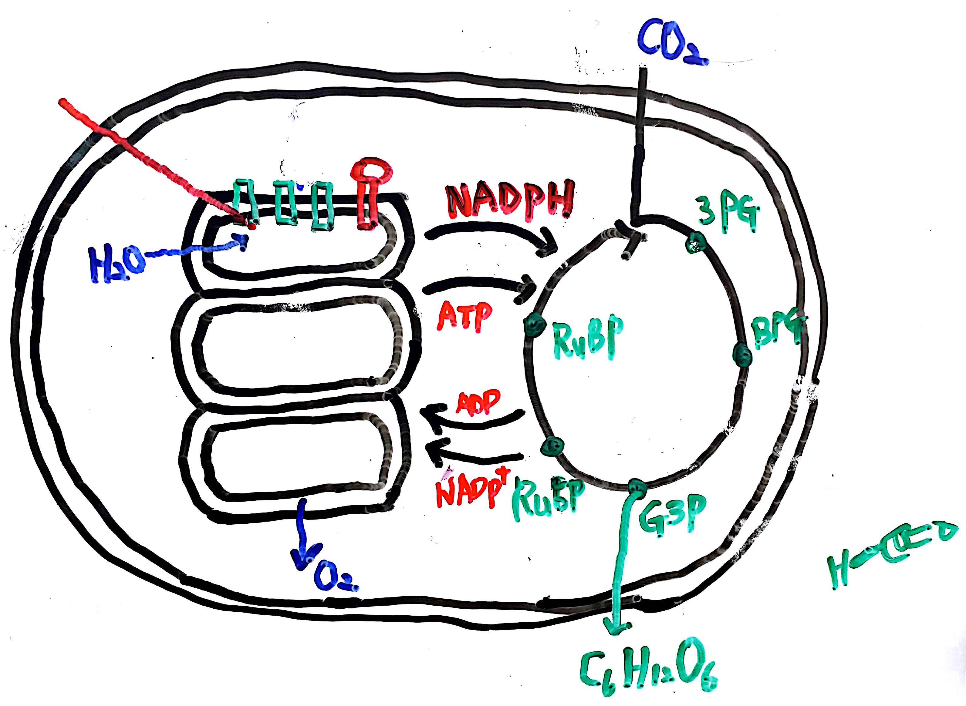 20160703 137억년  9강_5.jpg
