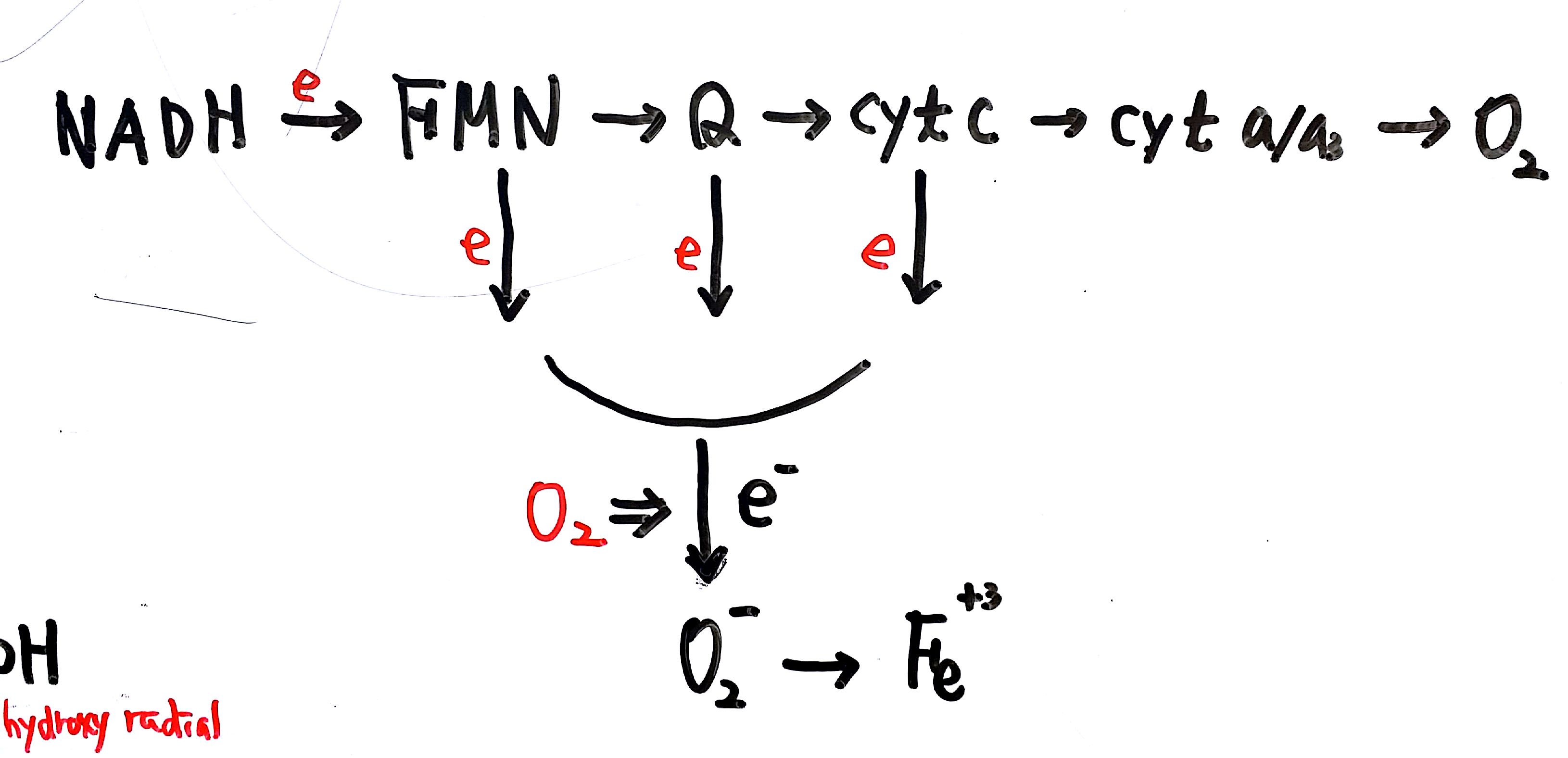 20160703 137억년  9강_11.jpg