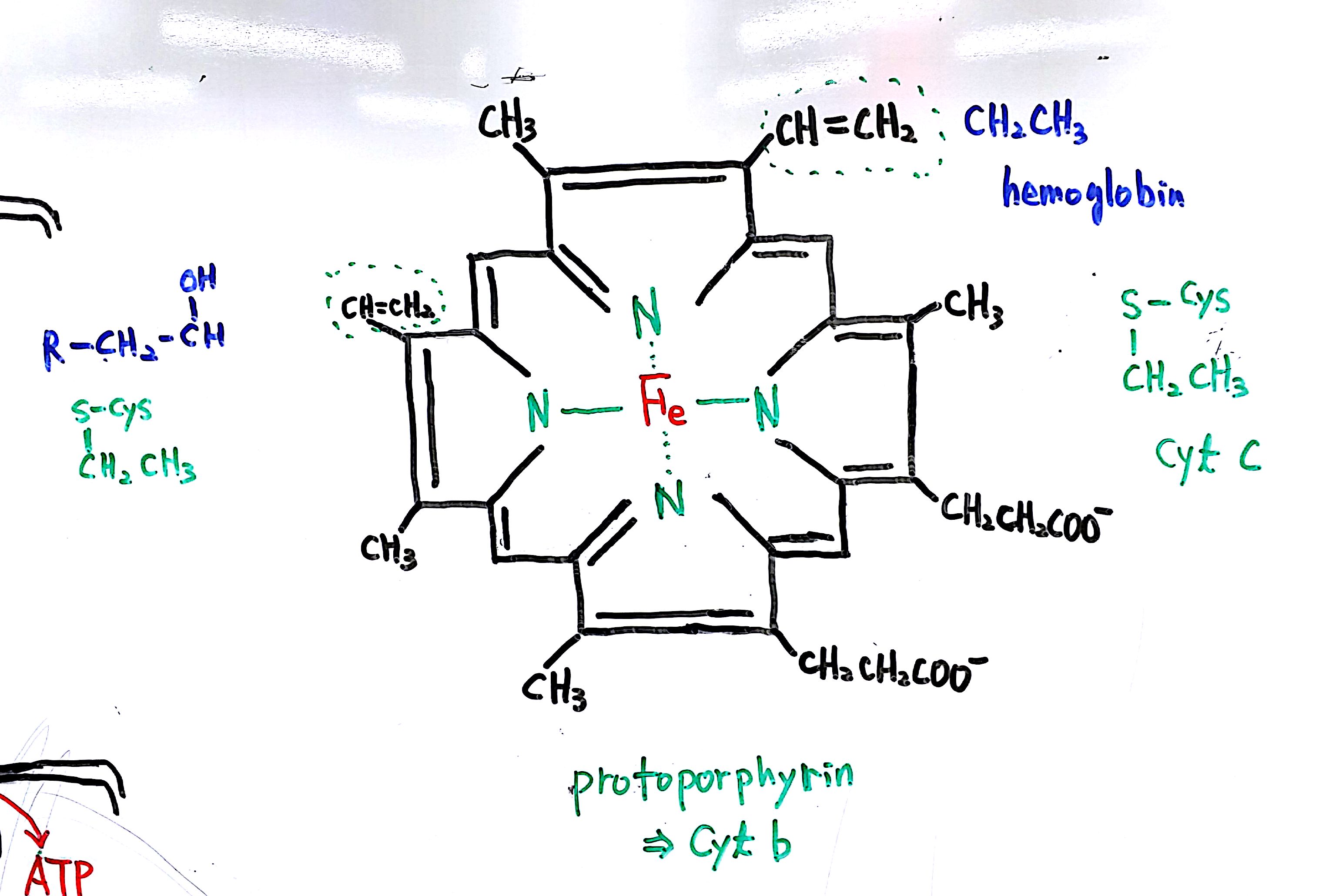 20160703 137억년  9강_8.jpg