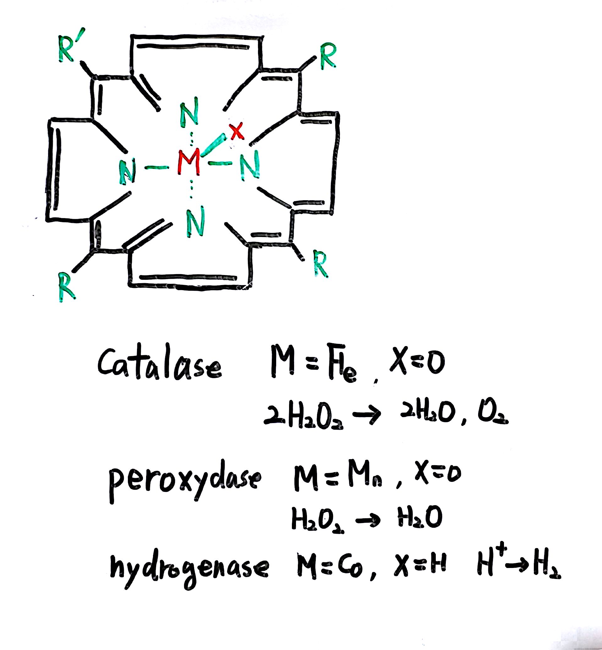 20160703 137억년  9강_10.jpg