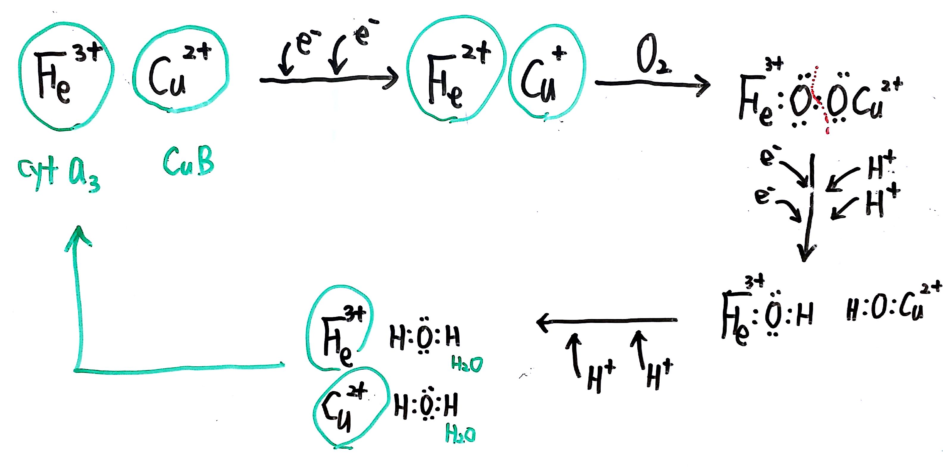 20160703 137억년  9강_15.jpg