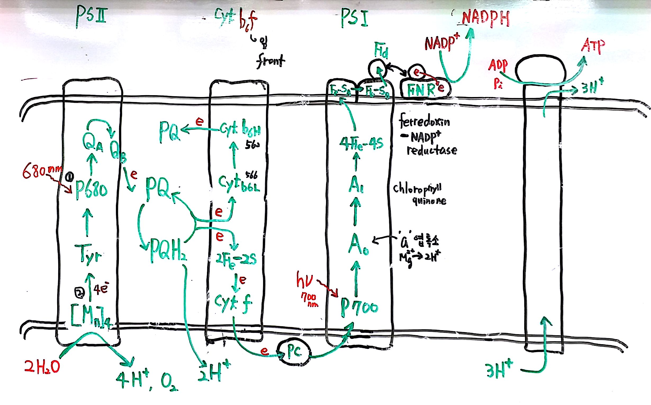 20160703 137억년  9강_2.jpg