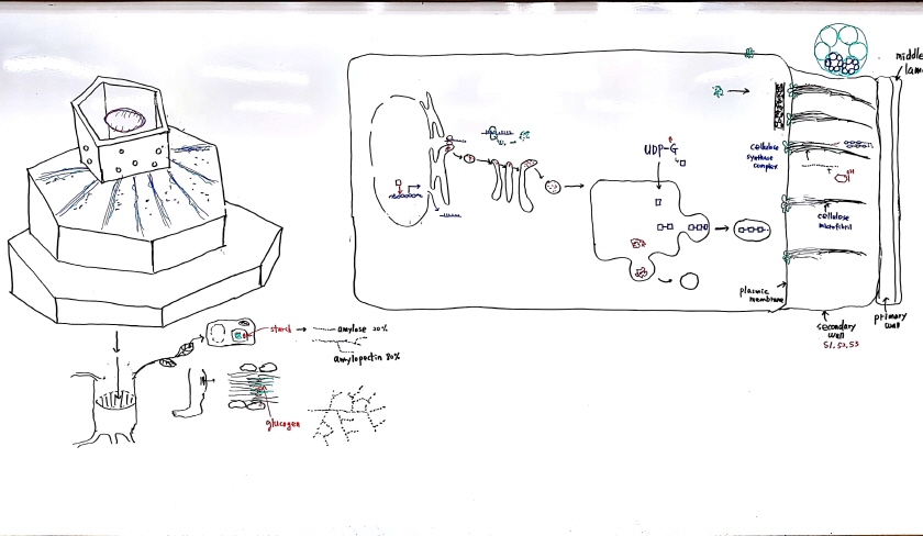 크기변환_새 파일 2018-05-20_1.jpg