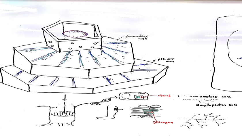 크기변환_새 파일 2018-05-20 (2)_3.jpg