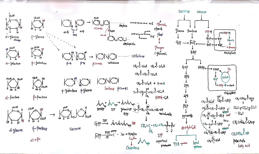 크기변환_새 파일 2018-05-20 (1)_2.jpg