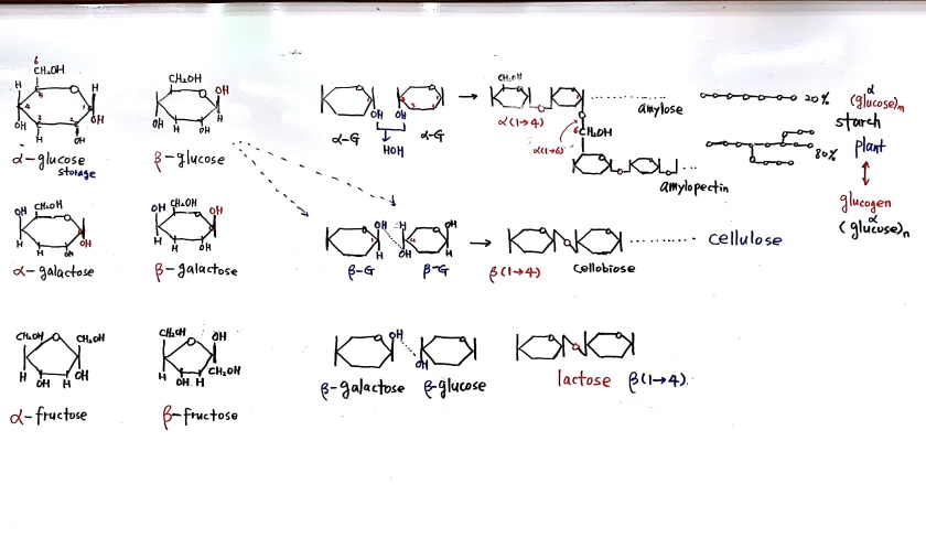 크기변환_새 파일 2018-05-20_2.jpg