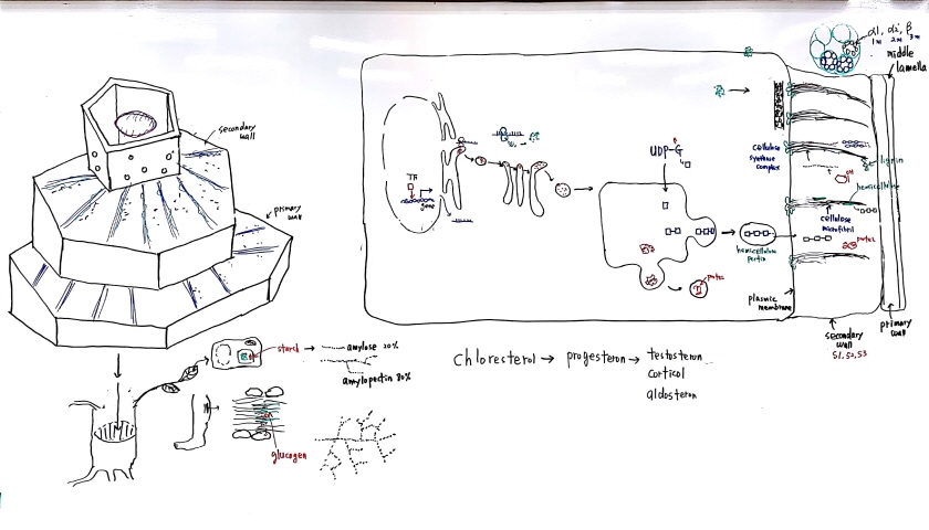 크기변환_새 파일 2018-05-20 (2)_1.jpg