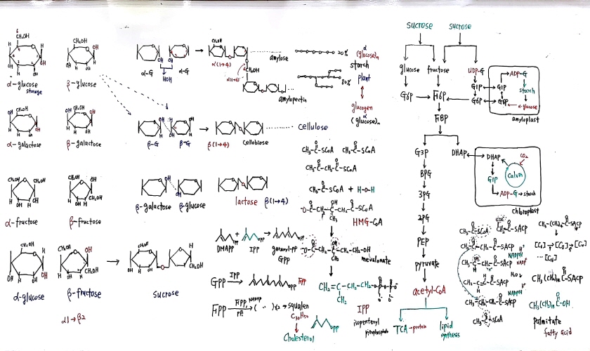 크기변환_새 파일 2018-05-20 (1)_8.jpg