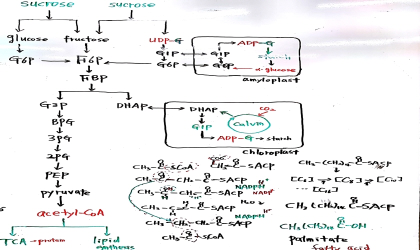 크기변환_새 파일 2018-05-20 (1)_3.jpg