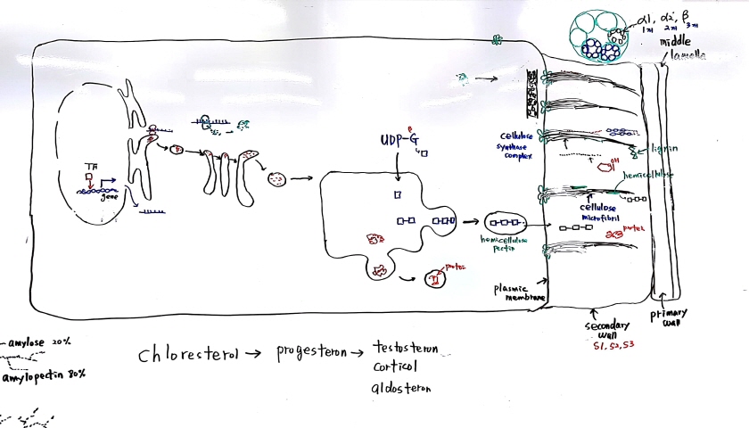 크기변환_새 파일 2018-05-20 (2)_4.jpg