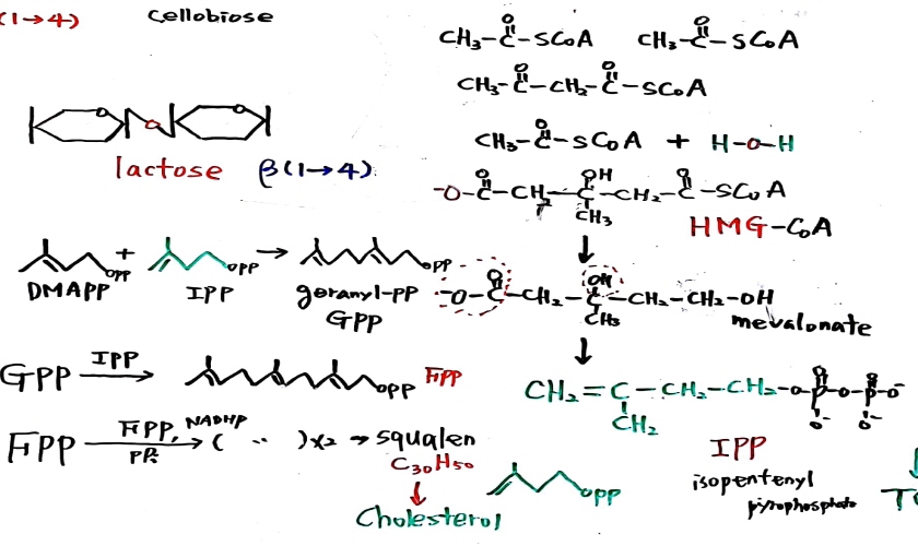 크기변환_새 파일 2018-05-20 (1)_4.jpg