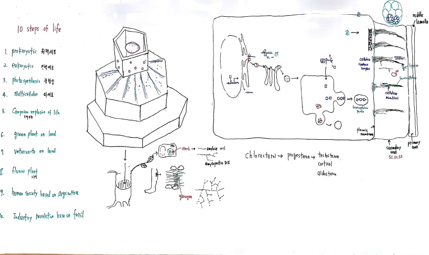 크기변환_새 파일 2018-05-20 (1)_9.jpg