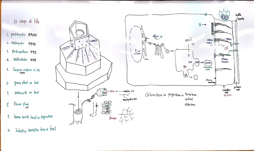 크기변환_새 파일 2018-05-20 (1)_6.jpg