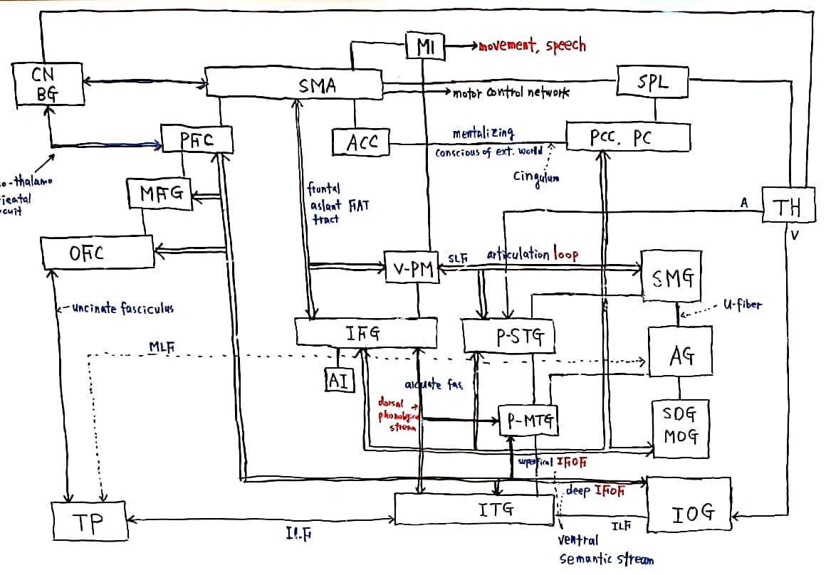 20-44 과학리딩_2.jpg