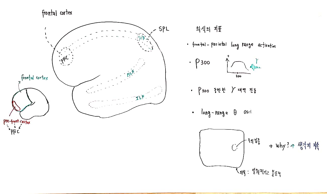 20-44 과학리딩_5.jpg