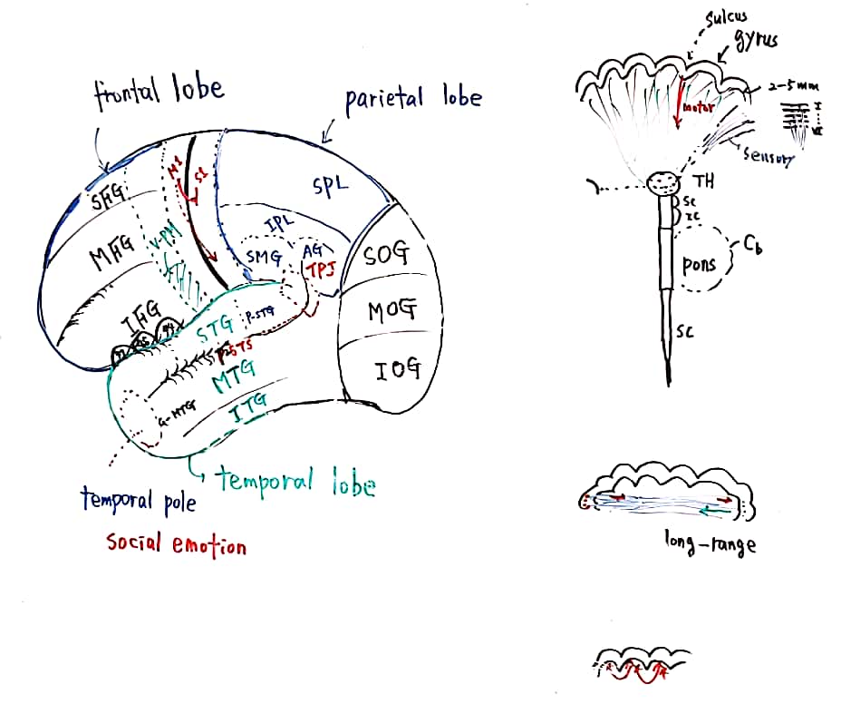 20-44 과학리딩_1.jpg