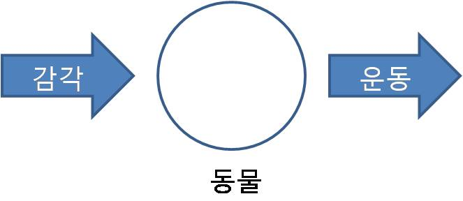 감각운동.PNG