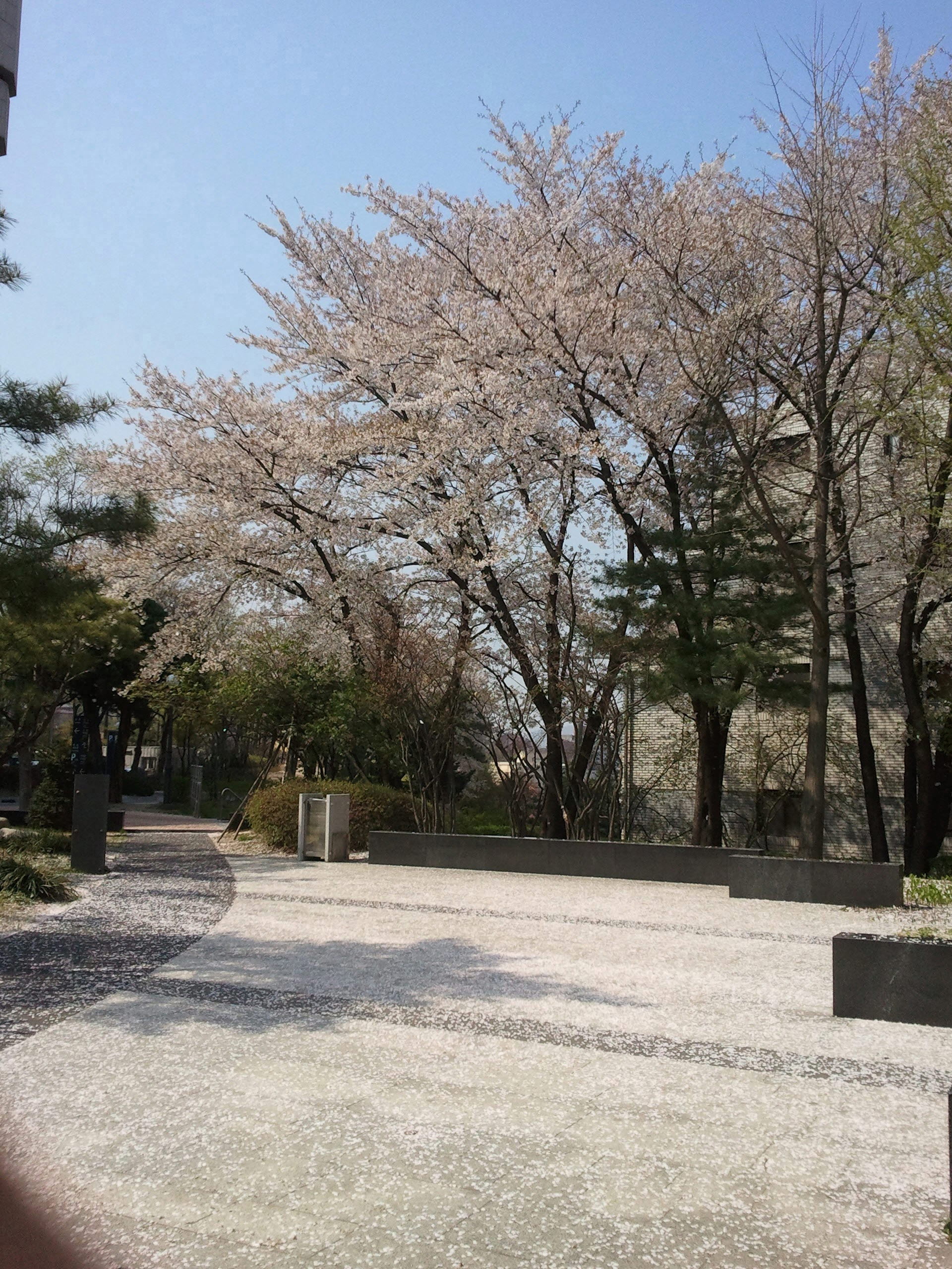 2012-04-20 10.19.13.jpg
