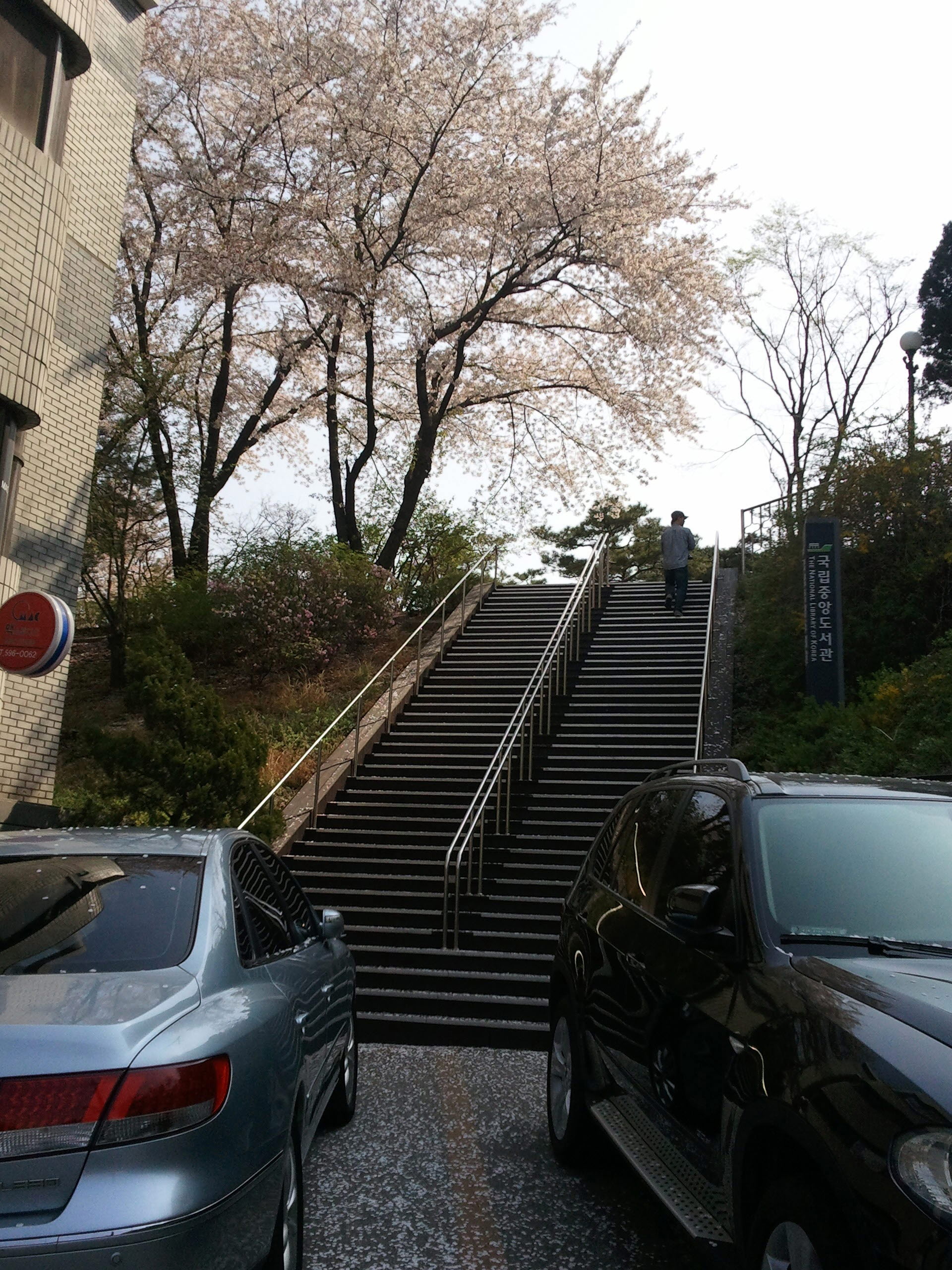 2012-04-20 10.20.25.jpg