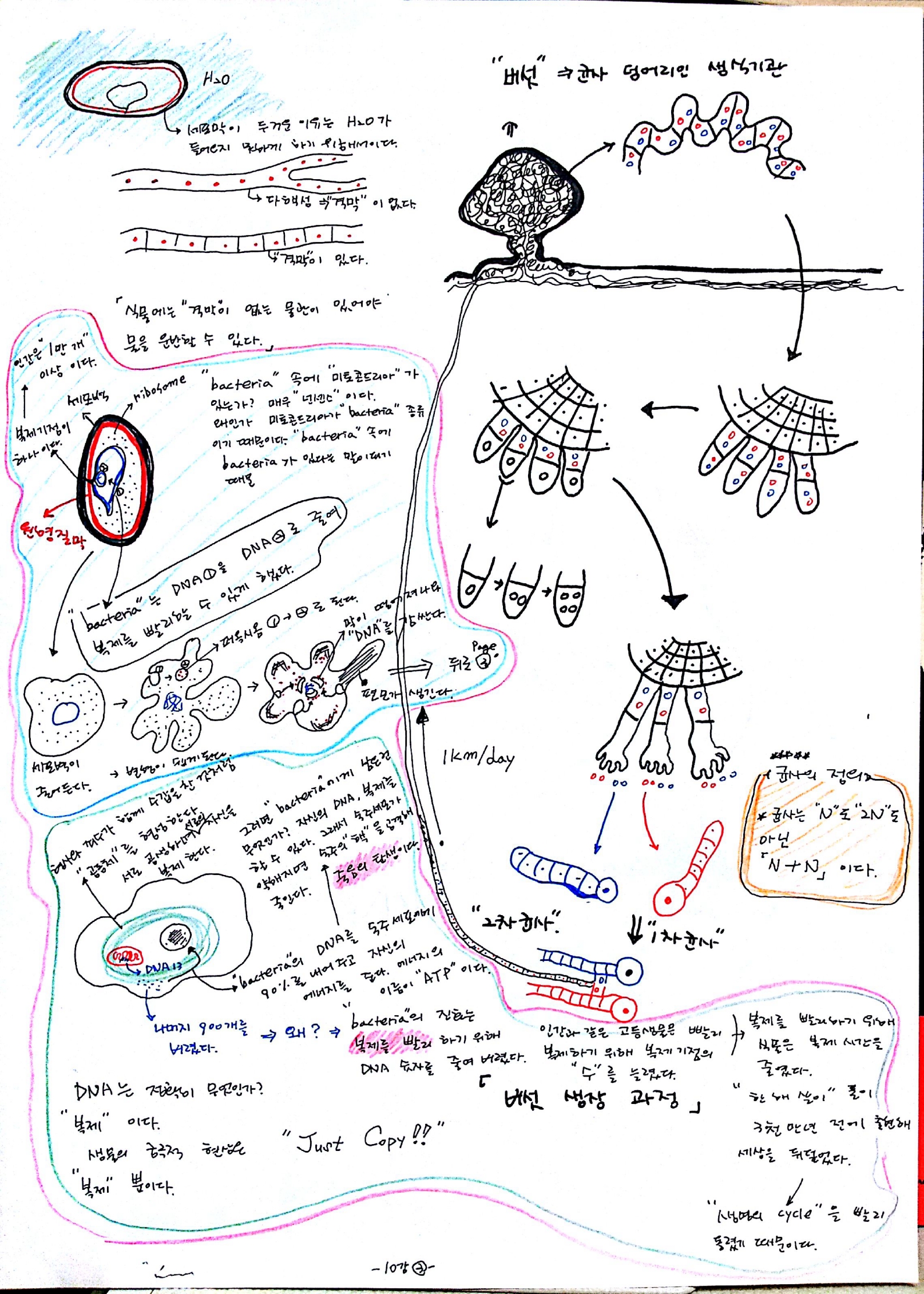 137억년 우주진화 -10강 생명03.jpg