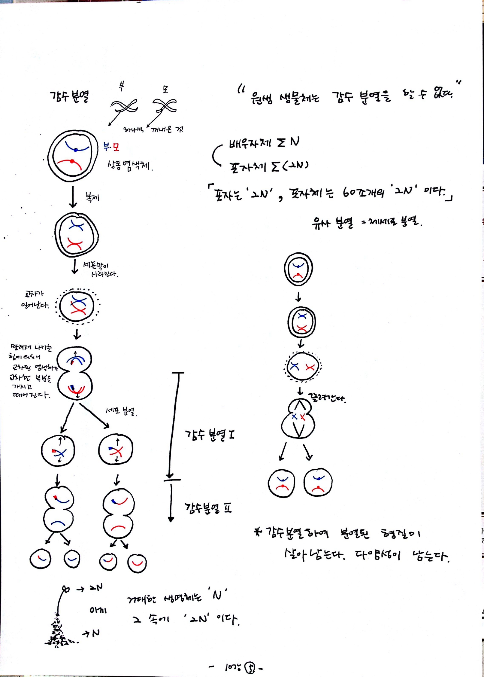 137억년 우주진화 -10강 생명06.jpg