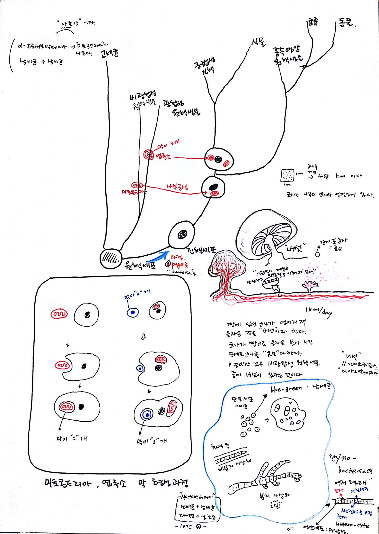 137억년 우주진화 -10강 생명02.jpg